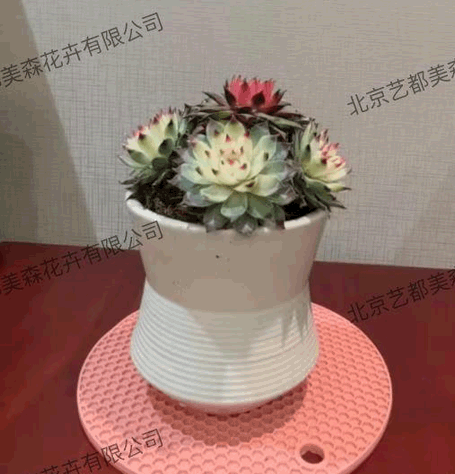 艺都美森鲜花网 中国鲜花网 花店 生日鲜花 恋情鲜花 开业花篮 会议鲜花租摆 会议花插 绿植租摆 庆典花篮 婚庆花车 园林工程