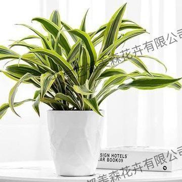 艺都美森鲜花网 中国鲜花网 花店 生日鲜花 恋情鲜花 开业花篮 会议鲜花租摆 会议花插 绿植租摆 庆典花篮 婚庆花车 园林工程