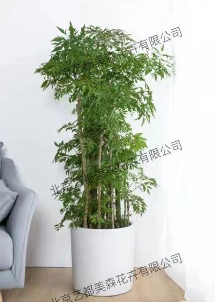 艺都美森鲜花网 中国鲜花网 花店 生日鲜花 恋情鲜花 开业花篮 会议鲜花租摆 会议花插 绿植租摆 庆典花篮 婚庆花车 园林工程