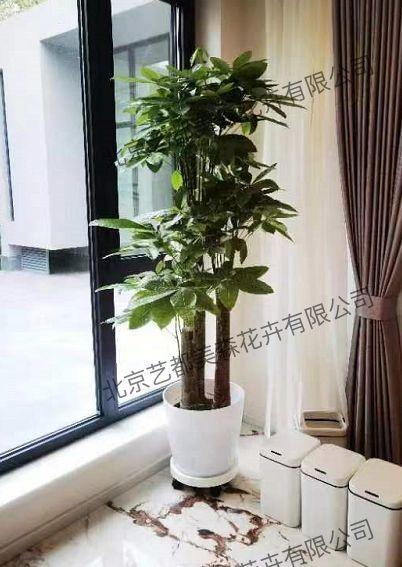 艺都美森鲜花网 中国鲜花网 花店 生日鲜花 恋情鲜花 开业花篮 会议鲜花租摆 会议花插 绿植租摆 庆典花篮 婚庆花车 园林工程