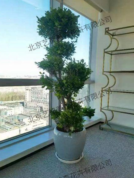 艺都美森鲜花网 中国鲜花网 花店 生日鲜花 恋情鲜花 开业花篮 会议鲜花租摆 会议花插 绿植租摆 庆典花篮 婚庆花车 园林工程