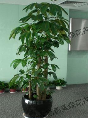 艺都美森鲜花网 中国鲜花网 花店 生日鲜花 恋情鲜花 开业花篮 会议鲜花租摆 会议花插 绿植租摆 庆典花篮 婚庆花车 园林工程