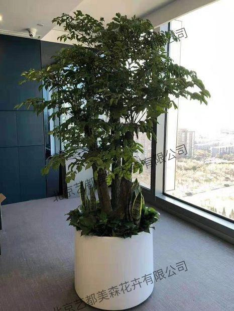 艺都美森鲜花网 中国鲜花网 花店 生日鲜花 恋情鲜花 开业花篮 会议鲜花租摆 会议花插 绿植租摆 庆典花篮 婚庆花车 园林工程