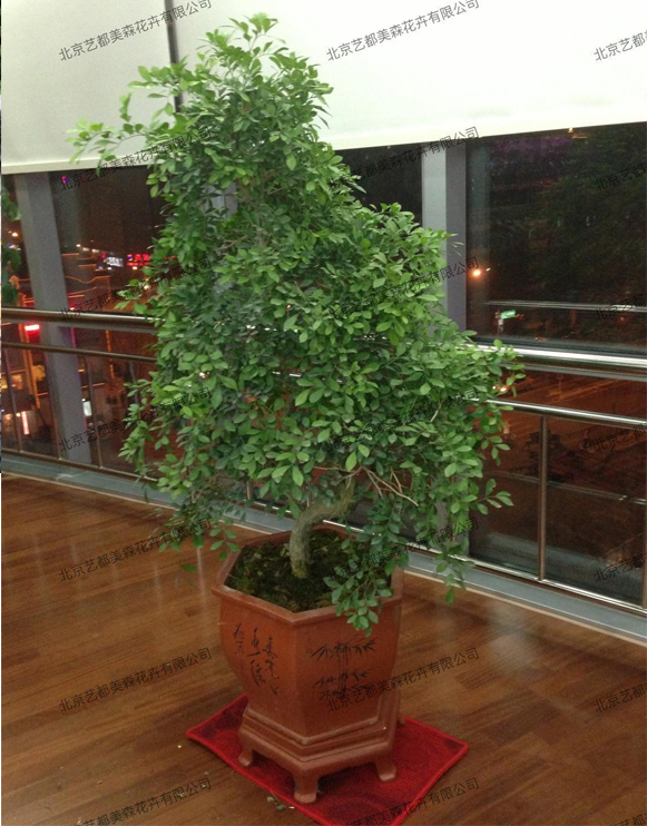 艺都美森鲜花网 中国鲜花网 花店 生日鲜花 恋情鲜花 开业花篮 会议鲜花租摆 会议花插 绿植租摆 庆典花篮 婚庆花车 园林工程