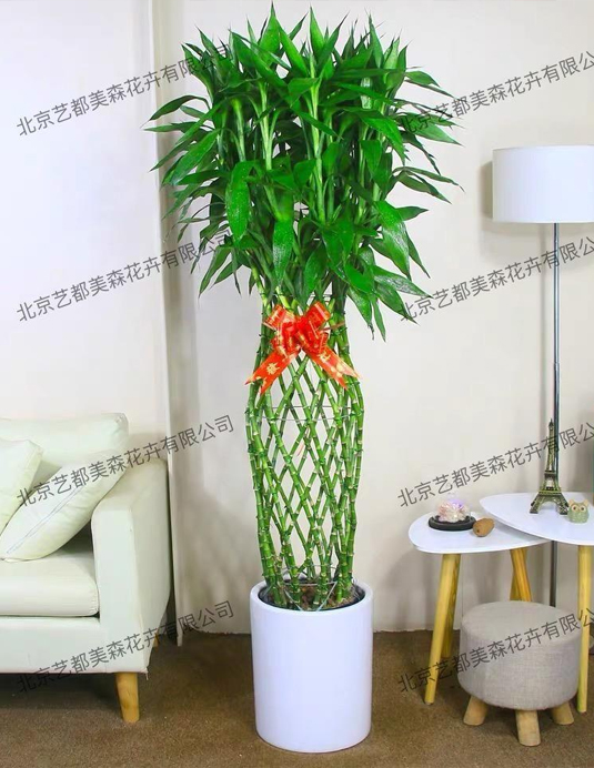 艺都美森鲜花网 中国鲜花网 花店 生日鲜花 恋情鲜花 开业花篮 会议鲜花租摆 会议花插 绿植租摆 庆典花篮 婚庆花车 园林工程