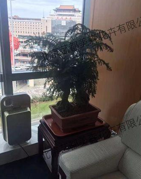艺都美森鲜花网 中国鲜花网 花店 生日鲜花 恋情鲜花 开业花篮 会议鲜花租摆 会议花插 绿植租摆 庆典花篮 婚庆花车 园林工程