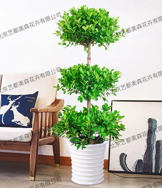 艺都美森鲜花网 中国鲜花网 花店 生日鲜花 恋情鲜花 开业花篮 会议鲜花租摆 会议花插 绿植租摆 庆典花篮 婚庆花车 园林工程